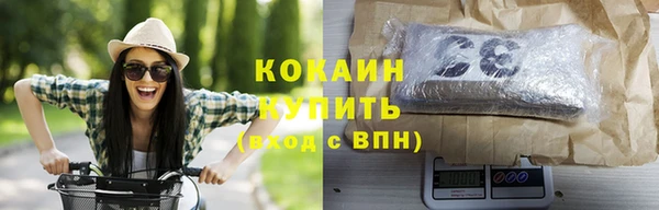 гашик Алзамай