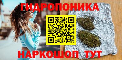ECSTASY Лесосибирск