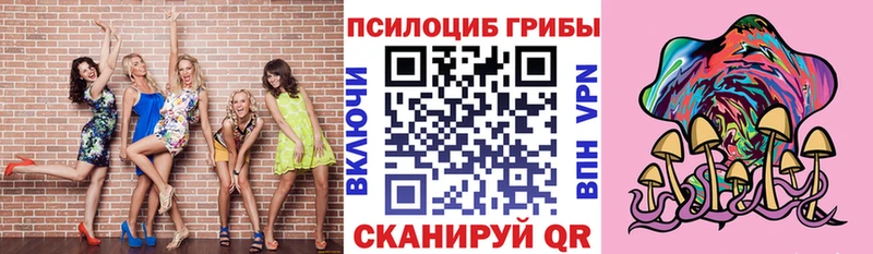 Псилоцибиновые грибы мухоморы  Новоалександровск 