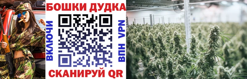 Марихуана сатива  omg сайт  Новоалександровск 